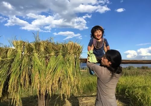 这个人在大理的耕种生活治愈了无数人的心灵焦虑