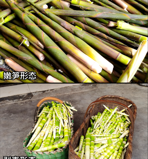 这32种常见野菜，你都认识吗？