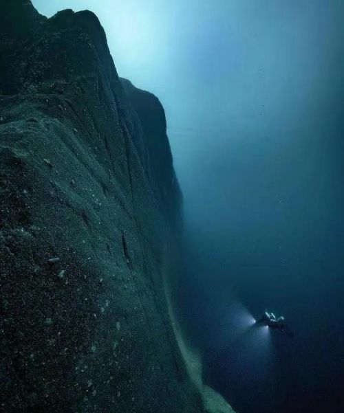 18张深海恐惧症测试图，你能坚持到第几张？