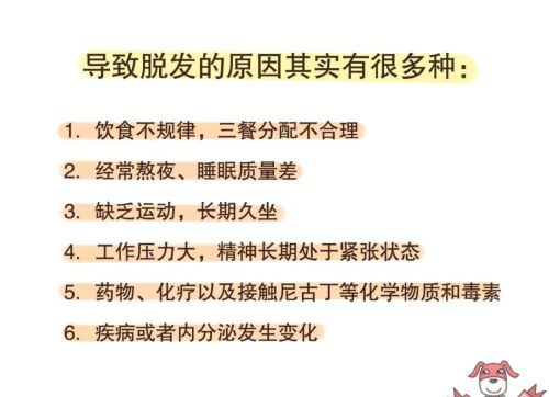 发际线不保？吃对了或许能帮你改变