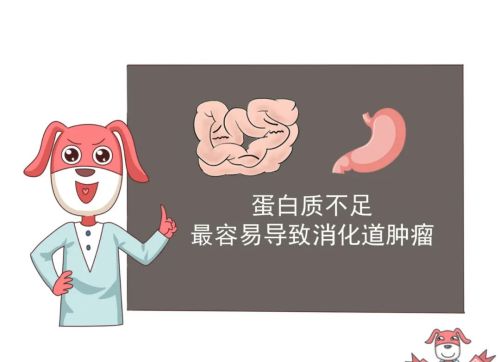 胆固醇越低越好？它的危害可比你想象中要严重