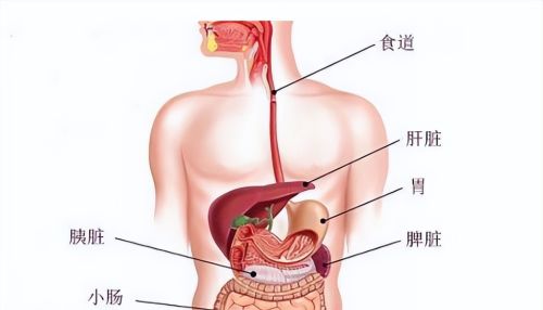 不去医院，如何知道自己有胃病