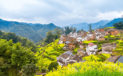 走遍国内，这3个地方才是春日赏花旅行的必去之地