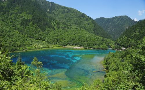 九寨沟景区一日游怎么玩？这篇九寨沟旅游攻略，建议收藏！