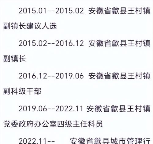 6年前，副镇长因生活困难开滴滴车被免职，6年后，他有了新职务