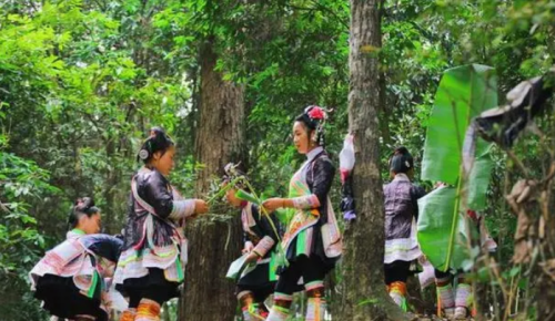 喜马拉雅山的神秘部落：喜欢吃素，无婚姻制度，其繁衍方式特殊