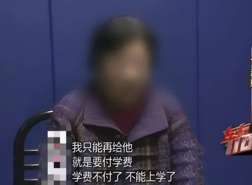 慈母多败儿！财务母亲侵占公司财产只剩20元只为帮儿子还债