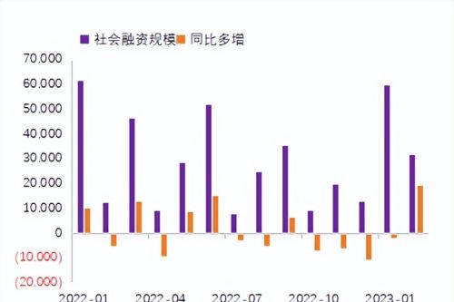 市场利率总体下行，后市如何配置？