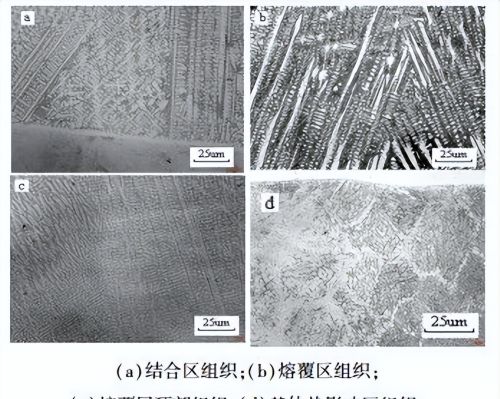 激光图案化钢表面结构深度对碳纳米粒子涂层固体润滑性的影响