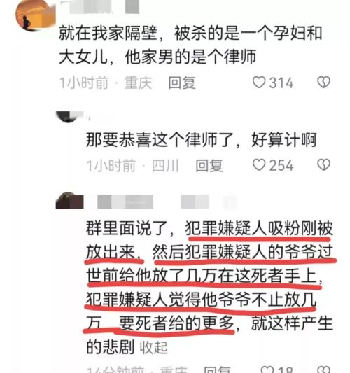 重庆一律师妻女身亡，妻子身怀六甲，女儿仅15岁，疑因心太善被害