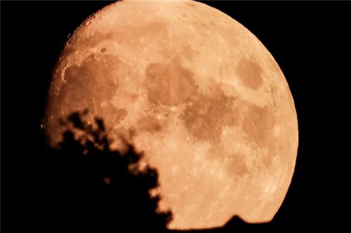 月球背后的“秘密”被揭开？中国卫星传回图像，其实霍金说得对