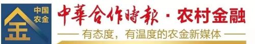 利辛农商银行：铺平服务实体经济“金融新跑道”