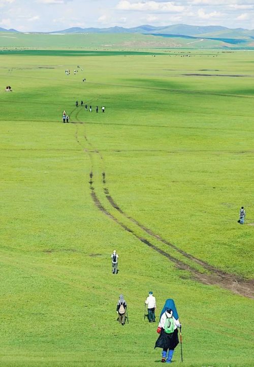 世界上最好的草原：坐拥10万平方公里，碧野千里，花海汹涌