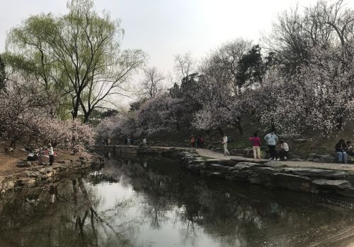 花花世界