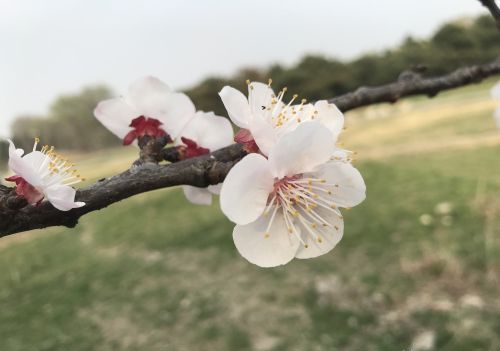 花花世界