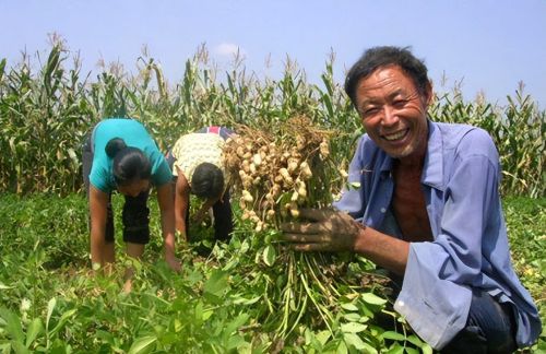 5月1日起施行新规？承包户消亡、收回承包地，需要注意些什么？