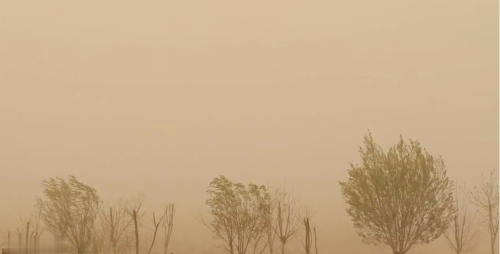 蒙古沙尘暴，中国18地遭殃，中方大使：管不了我们帮你管