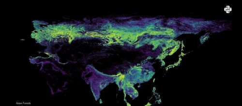 世界森林地图：我们的地球还有多少绿色？