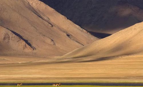 拉达克：中国故土，风景美如画，却成别国入侵我国的桥头堡