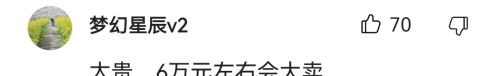 比亚迪海鸥VS五菱缤果，全方位对比，7.88万你还觉得贵吗？