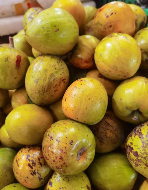 西双版纳十种热带水果，营养又特别