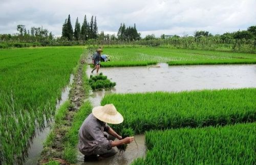 全球粮食危机加剧，联合国资金压力大，呼吁中国按美国标准捐钱