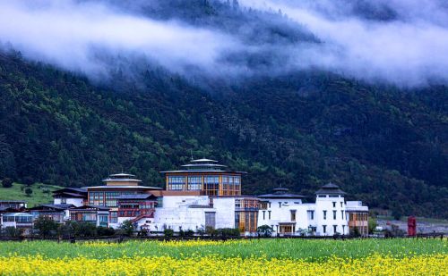 什么时候进藏更合适？这是一剂关于西藏旅游季节选择的十全大补贴