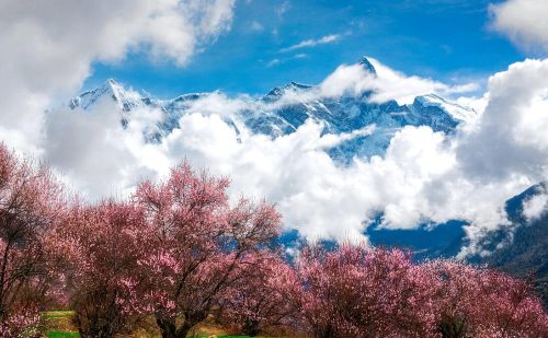 什么时候进藏更合适？这是一剂关于西藏旅游季节选择的十全大补贴