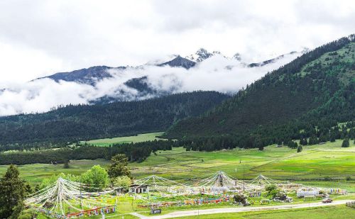 为什么要去林芝看桃花？因为它有无与伦比的山水背景，文末附攻略