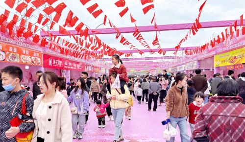 安康高新区桃花源数百亩桃花盛开，快去赴一场春日醉美盛宴