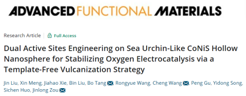 AFM:海胆状CoNiS空心纳米球双活性位点促进OER/ORR活性