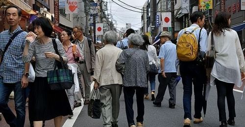 50万日本老人来中国养老不成，日本专家建议：老人全部集体切腹