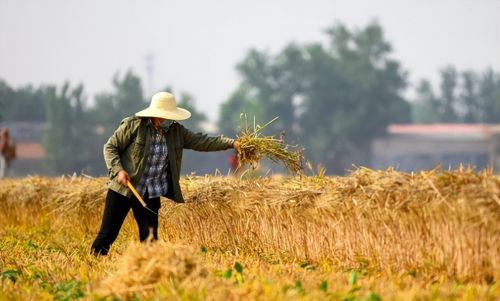 联合国呼吁解决粮食危机，抱怨中国给钱太少，要中国补齐资金缺口