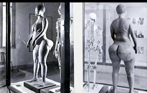 非洲女孩臀部硕大，因此遭到非人待遇，后被做成标本