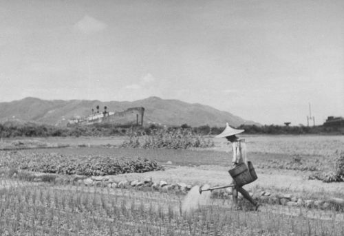 纪实图片，1945年的香港（2）