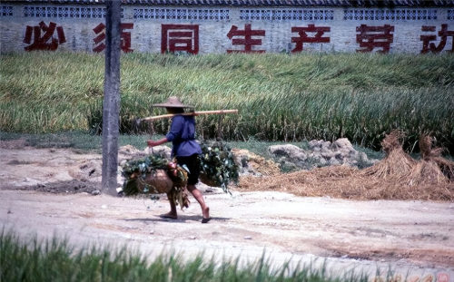 1979年老照片：看看那时候的普通百姓生活，单纯中透着快乐