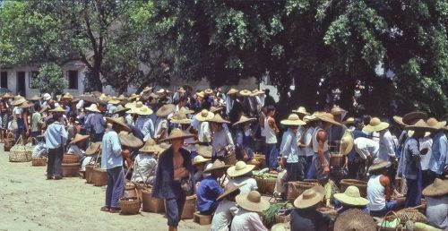 1979年老照片：看看那时候的普通百姓生活，单纯中透着快乐