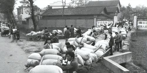 用图说话：21张6070年代老照片，你或许经历过，感慨50年沧桑巨变