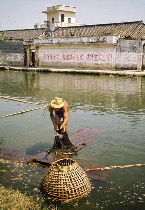 广东老照片｜上世纪70年代的广州生活，四五十年弹指一挥