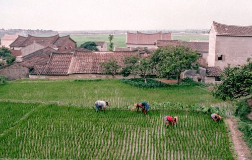 福建老照片｜上世纪80年代的厦门、福州、泉州旧影