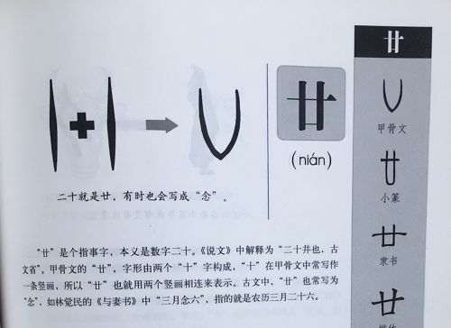 “廿”这个字你认识吗？虽然很常见，但能读出来的人却不多