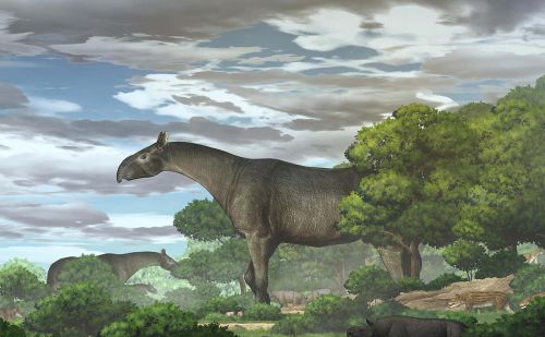 高5米重20吨，中国发现史上最大陆地哺乳动物化石，比大象还重4倍