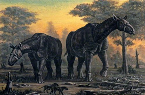 高5米重20吨，中国发现史上最大陆地哺乳动物化石，比大象还重4倍