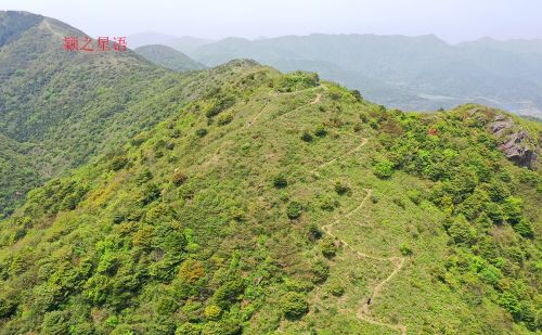 北仑杜鹃坡，原始野趣，比奉化金峨山杜鹃坡更美丽