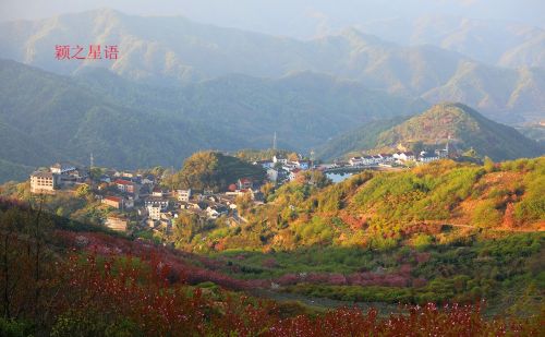 国家级赏樱胜地，赏樱何必去日本，来四明山就行