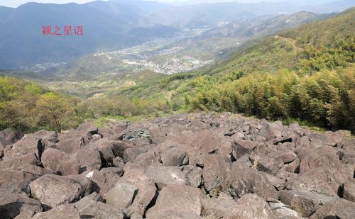 国家级赏樱胜地，赏樱何必去日本，来四明山就行