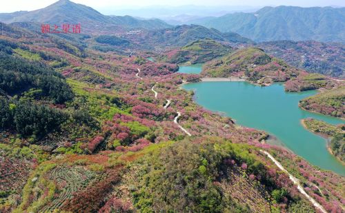 国家级赏樱胜地，赏樱何必去日本，来四明山就行