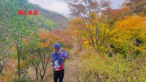 宁波这条古道太美啦，春秋冬都来走过了