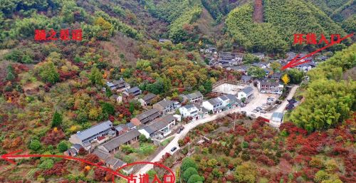 宁波这条古道太美啦，春秋冬都来走过了