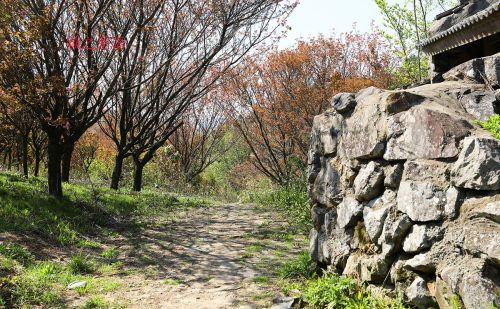 宁波这条古道太美啦，春秋冬都来走过了